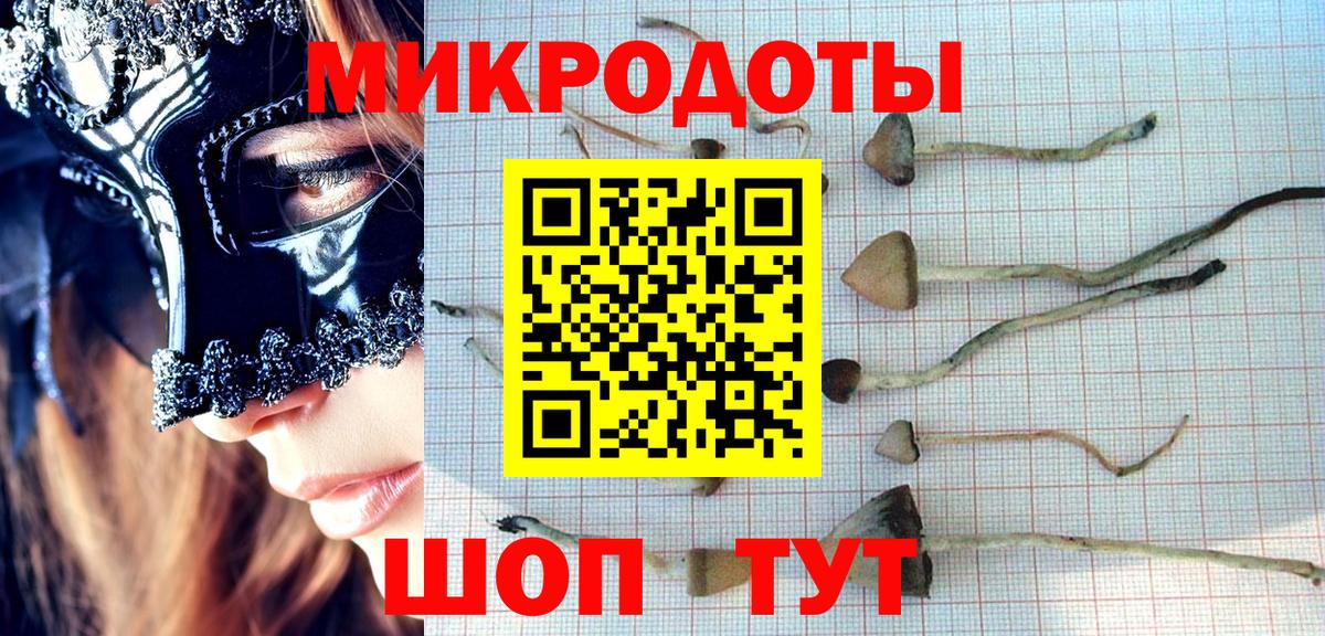 Кировск  Галлюциногенные грибы мицелий  Вход с VPN 