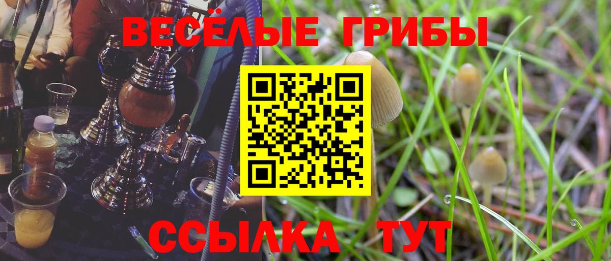 Галлюциногенные грибы мицелий Кировск